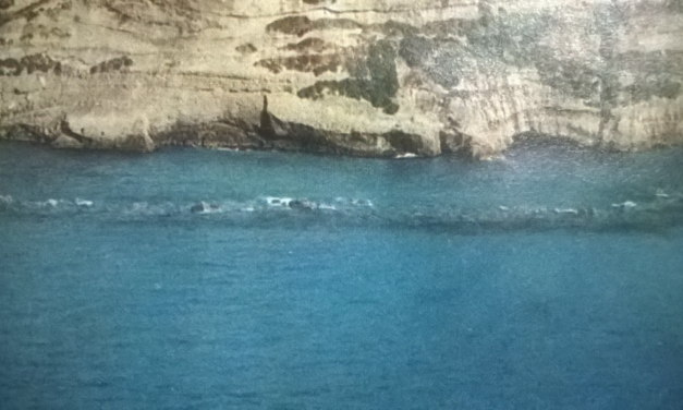 20120217 Pizzo e lo splendore perduto