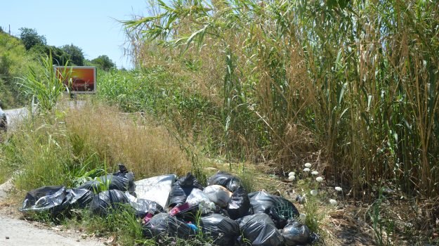 Percorso a ostacoli tra i rifiuti da Vibo Marina a Pizzo, un degrado lungo 35 chilometri